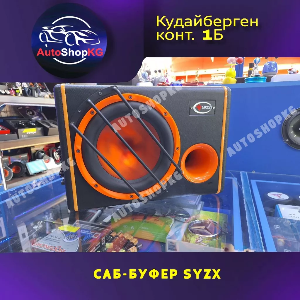 Сабвуфер SYZX со встроенным усилителем