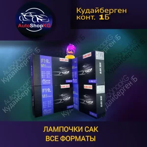 Фары F19 LED 12V Autointelligent SAK