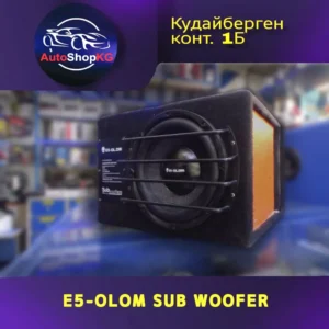 Сабвуфер активный автомобильный E5-OLOM P10