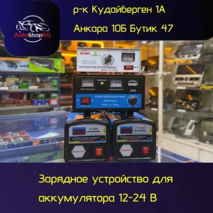 Зарядные устройства для аккумуляторов 12–24 В — Подходят для авто